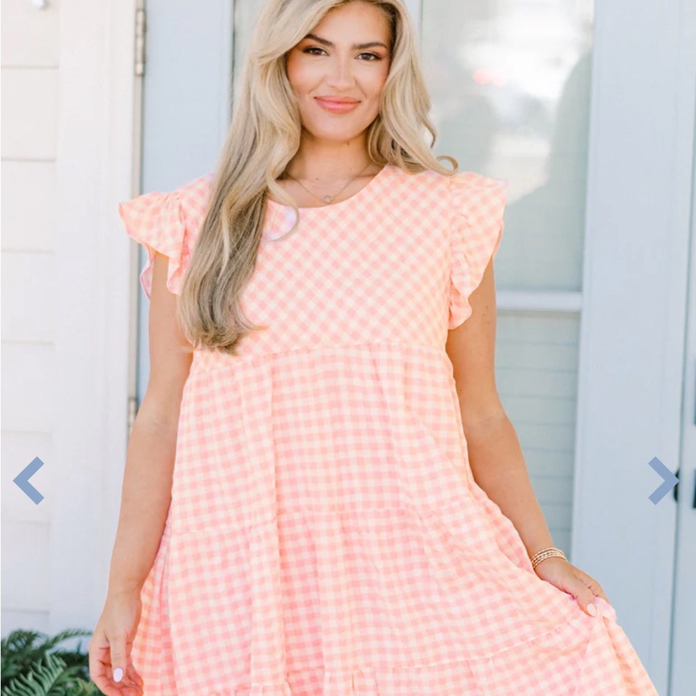 Pink Gingham Ruffle Sleeve Dress